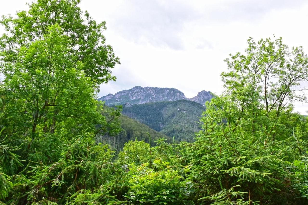 Willa Halka Zakopane Buitenkant foto
